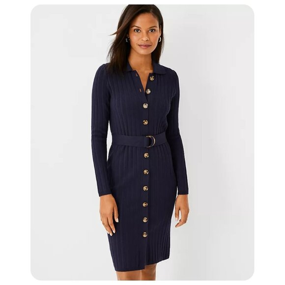 Ann Taylor Dresses & Skirts - !! Ann Taylor Navy Blue Button Front Long Sleeve Sweater Dress sz M